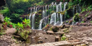 Hidden Gems in Nashville: Unique Spots Only Locals Know